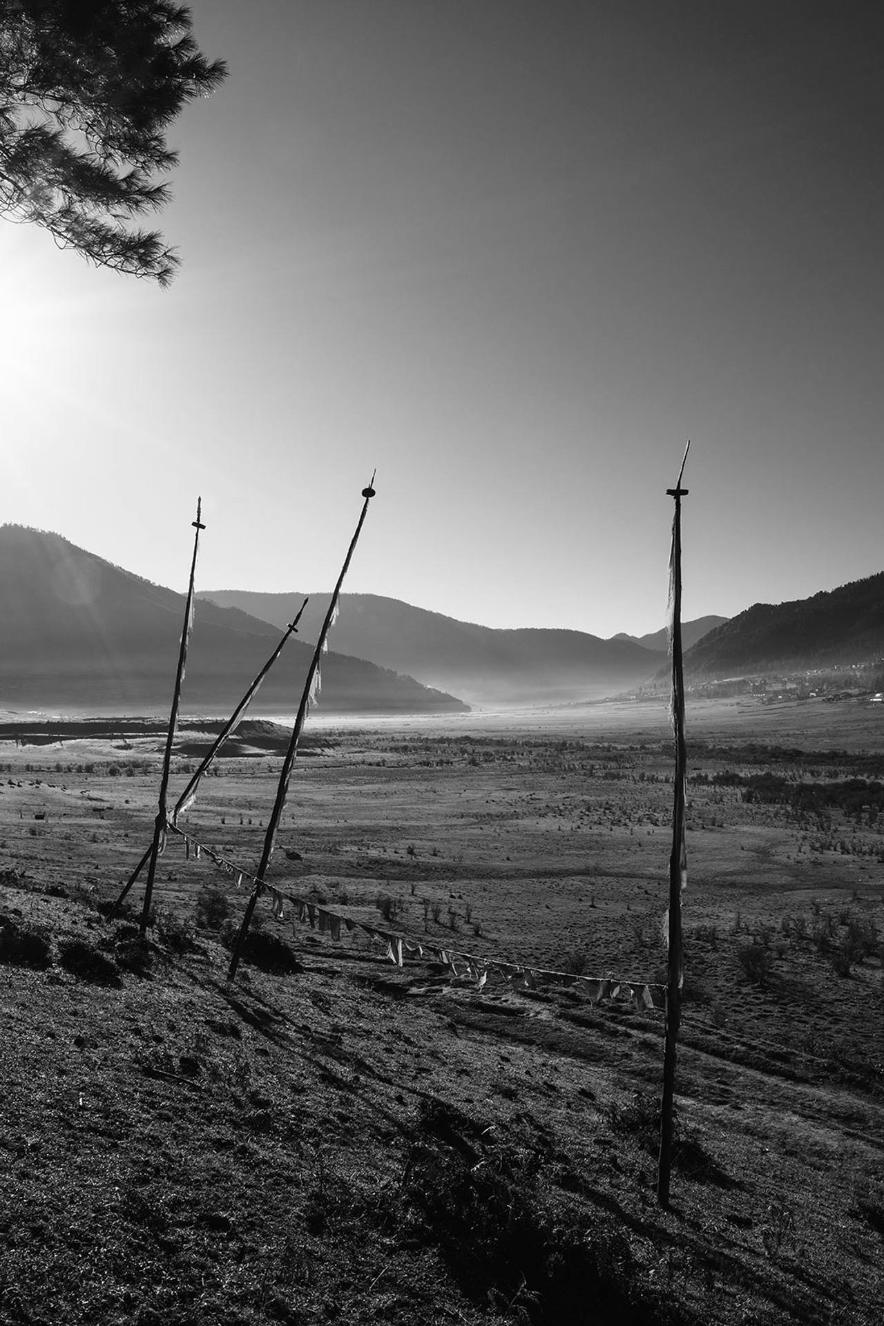 The Punakha valley at morning